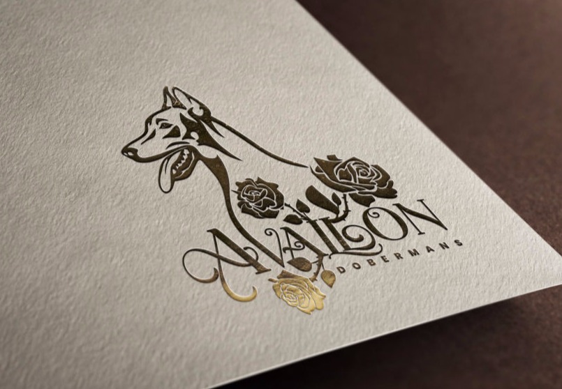 Dobermann vector drawing