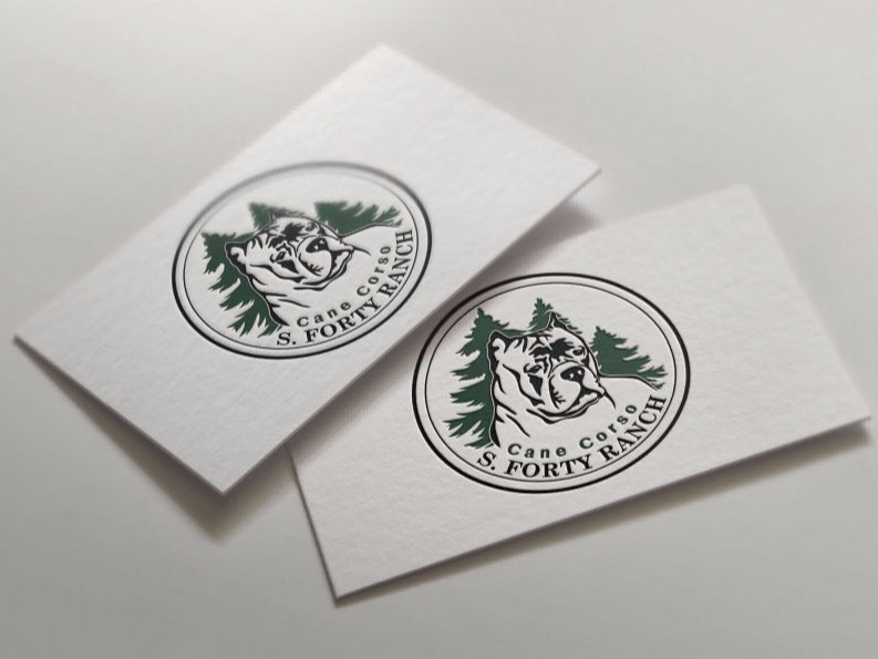 Cane Corso Logo