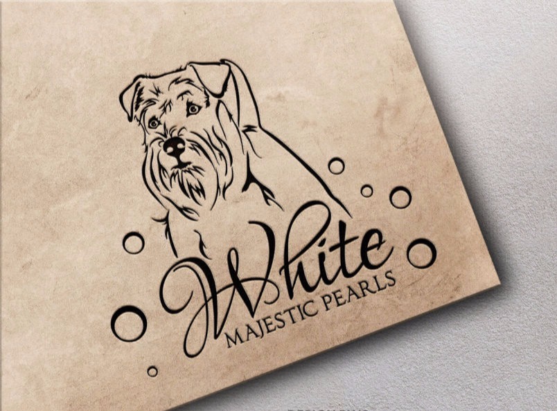 Schnauzer