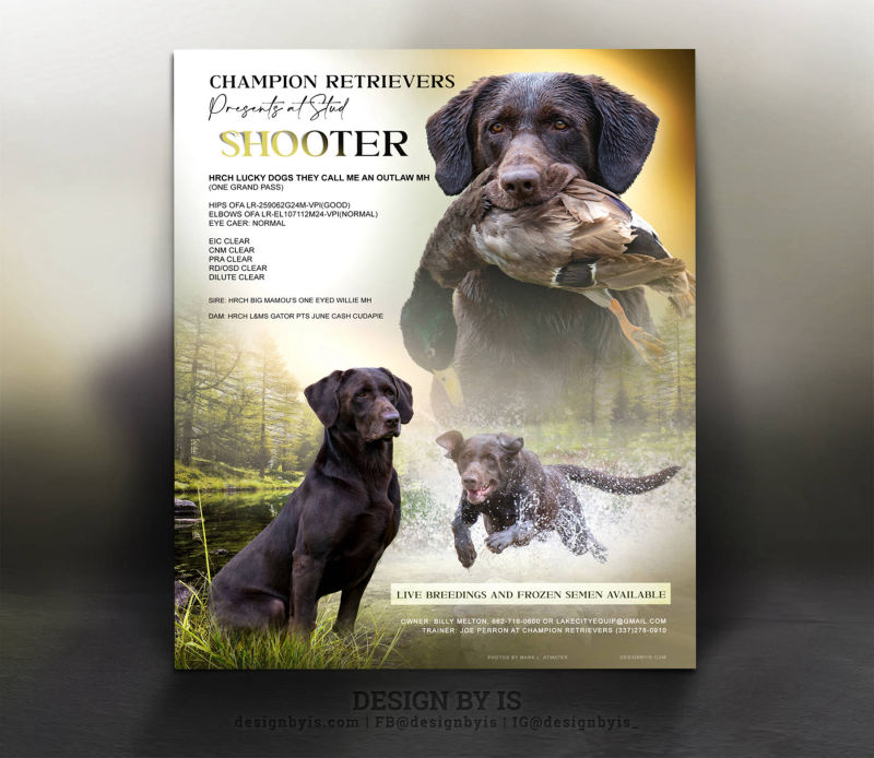 Custom dog presentation. Dog flyer 