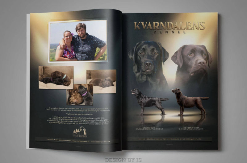 lABRADOR MAGAZINE AD