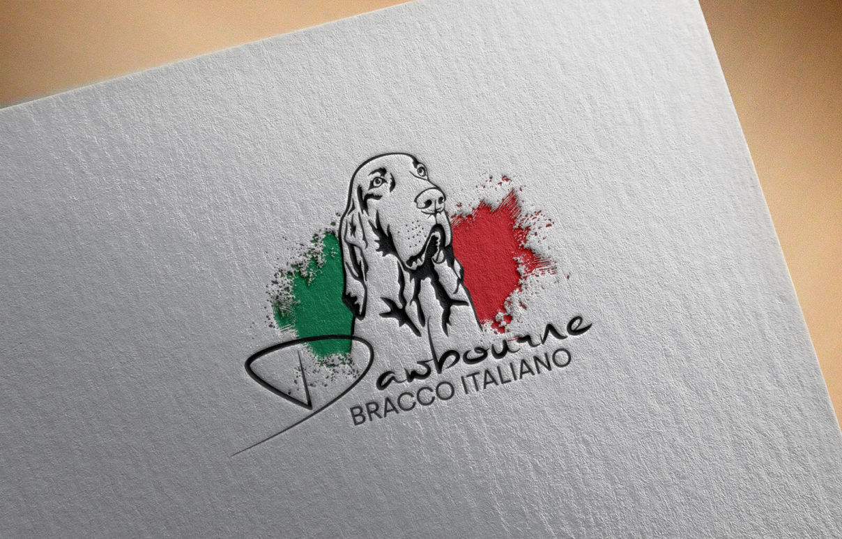 Bracco Italiano