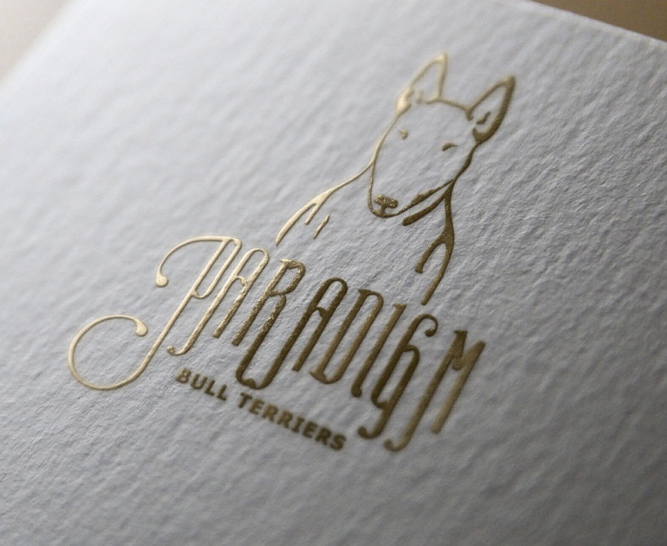 Paradigm Bullterrier logo USA