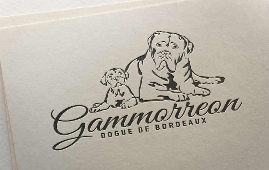 Dogue de Bordeaux