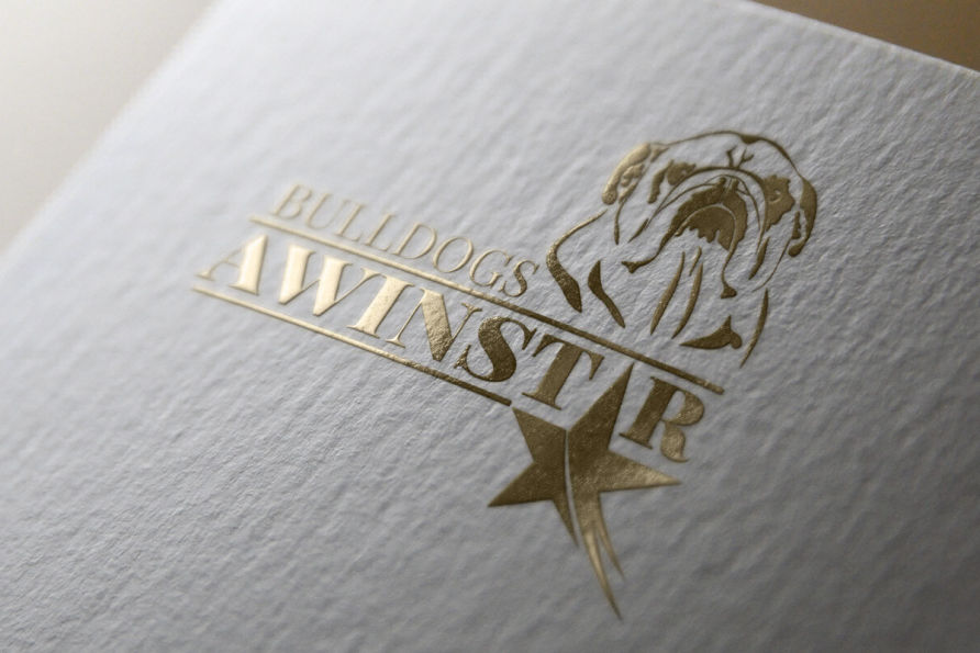 Bulldog vector drawing