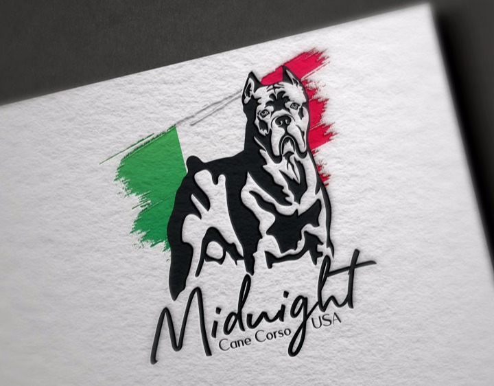 Cane Corso Logo