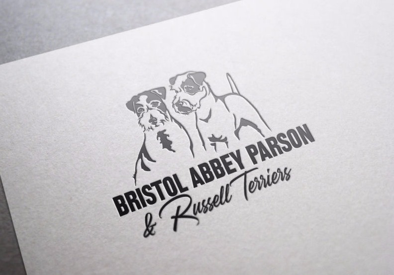 Russel Terriers