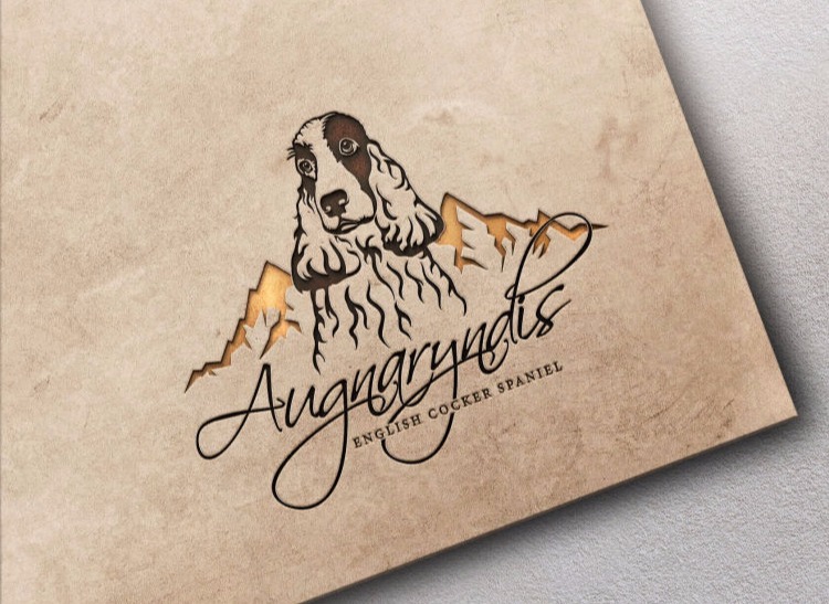 English Spaniel