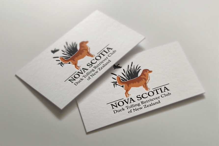 Nova Scotia Duck Tolling Retriever