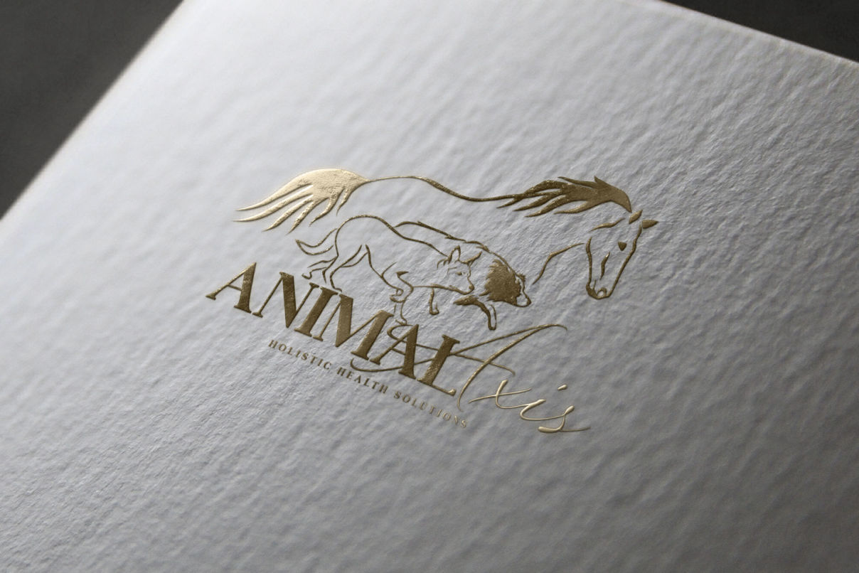 Border Collie & Horse Logo