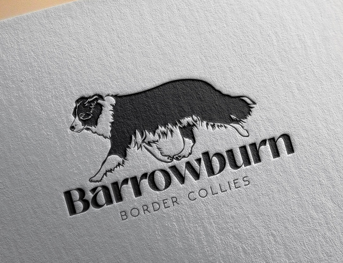 Border Collies breeder logo