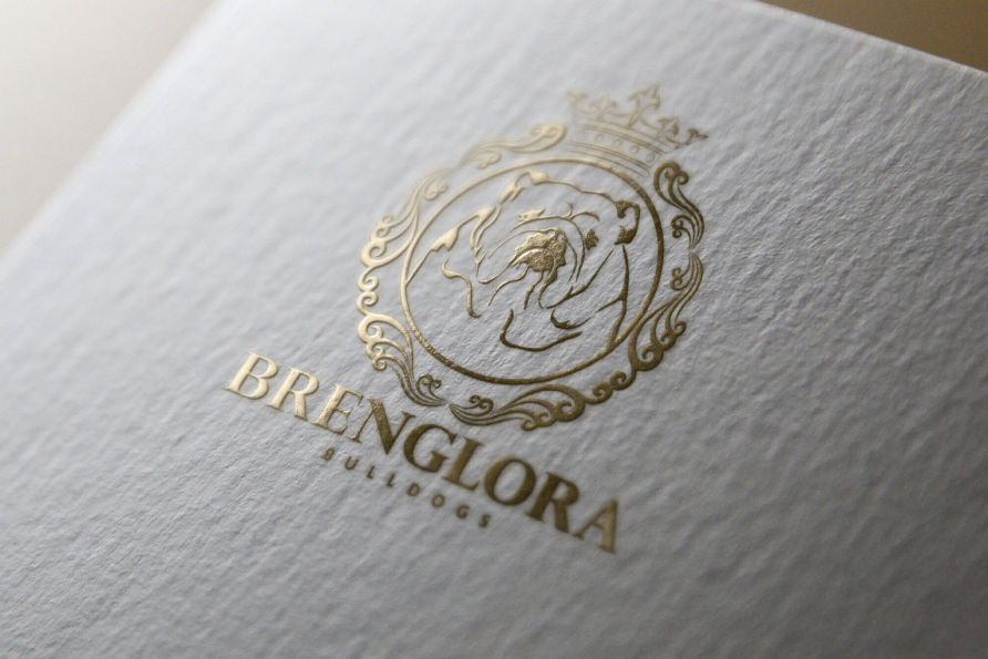 Bulldog Logo