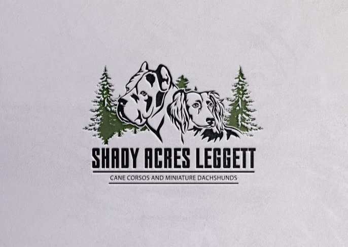 Cane Corso Logo