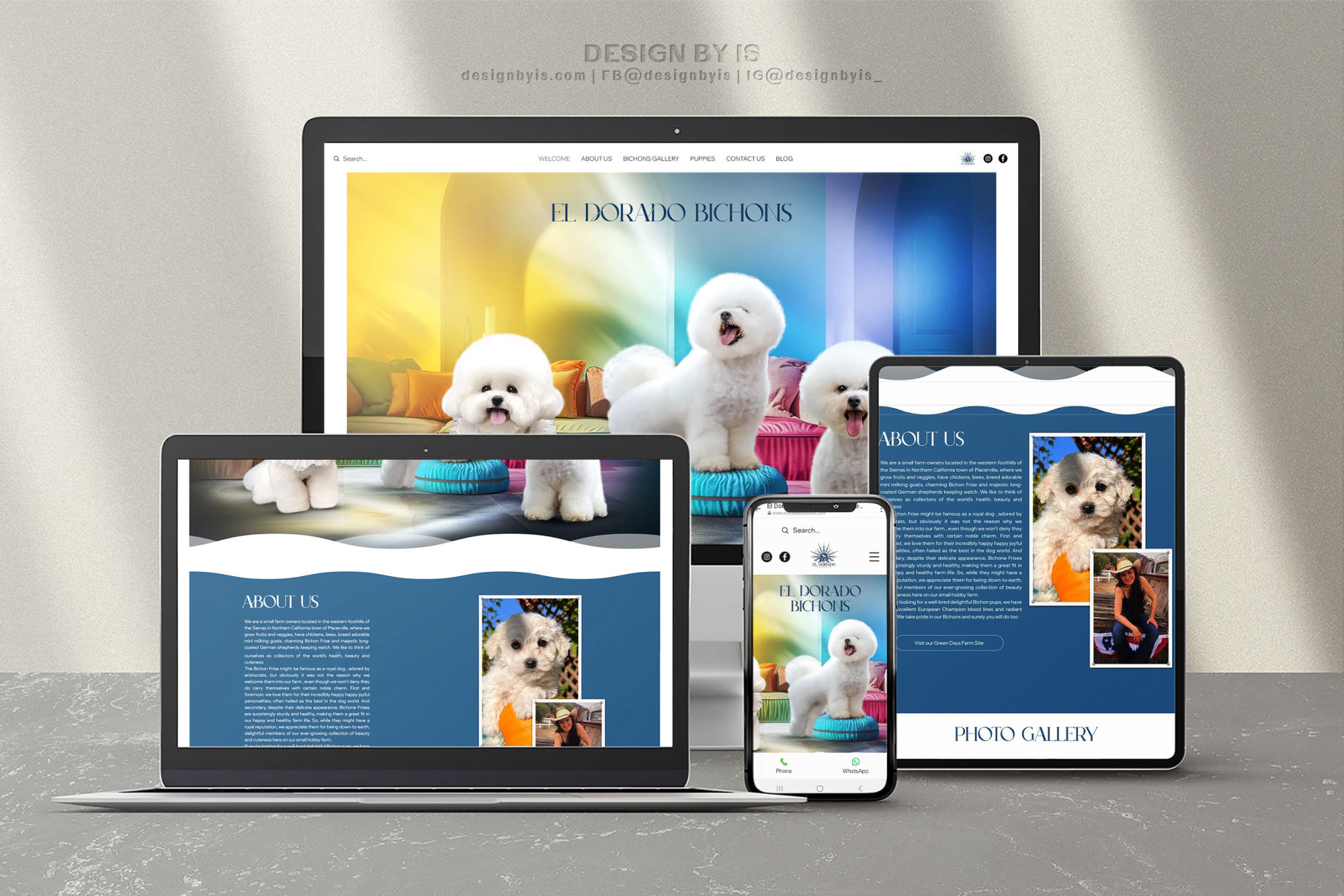 Bichon kennel website