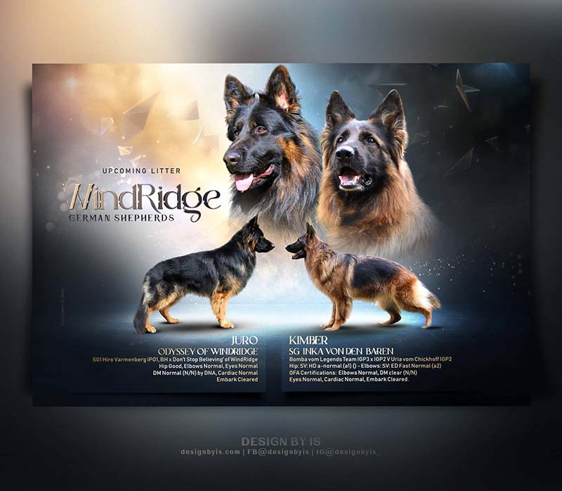Litter presentation