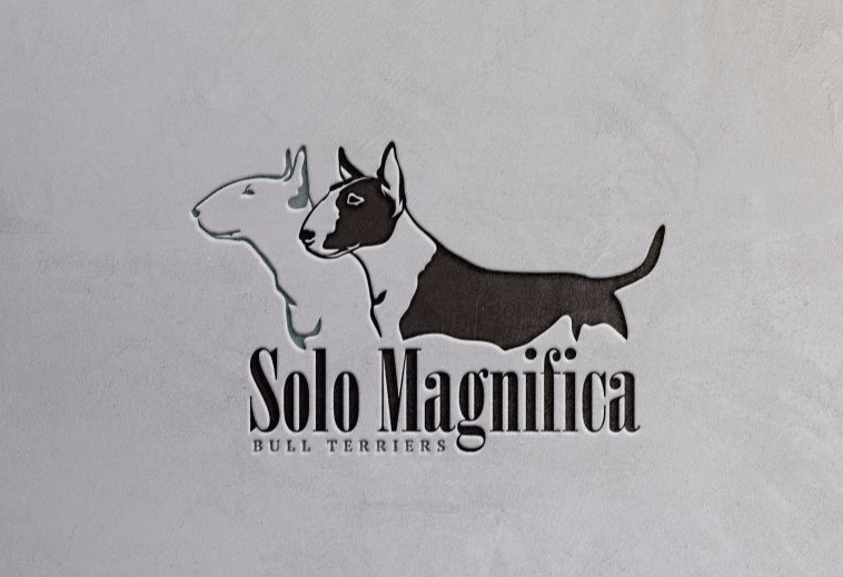 Bulldog Logo