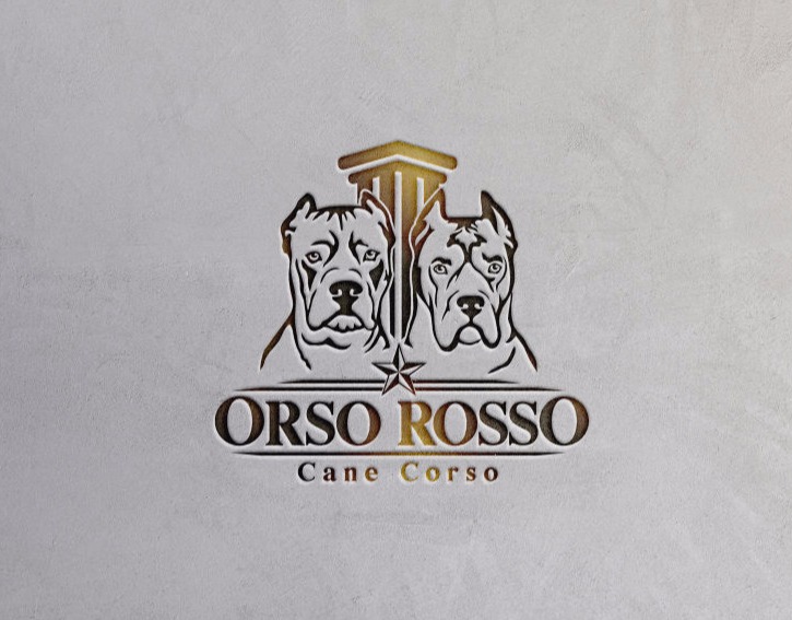 Cane Corso Logo