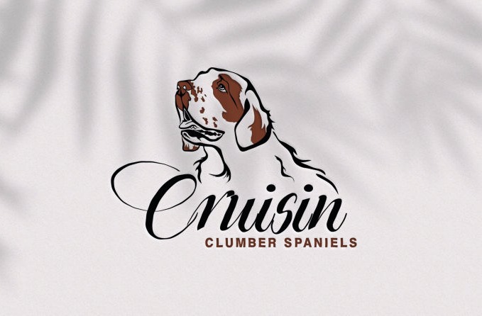 clumber spaniel