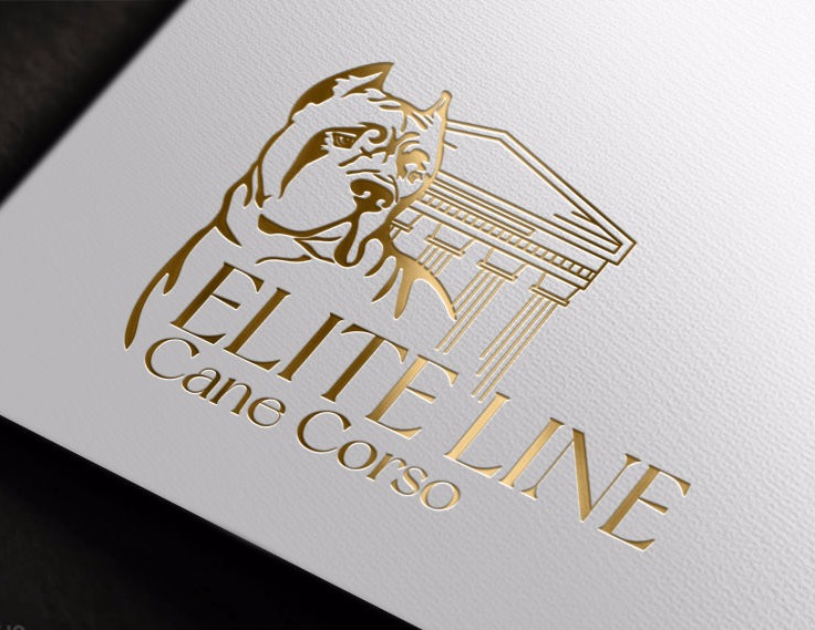 Cane Corso Logo