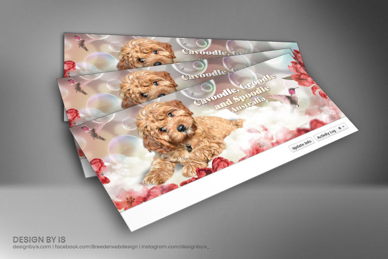 Breeder fb cover