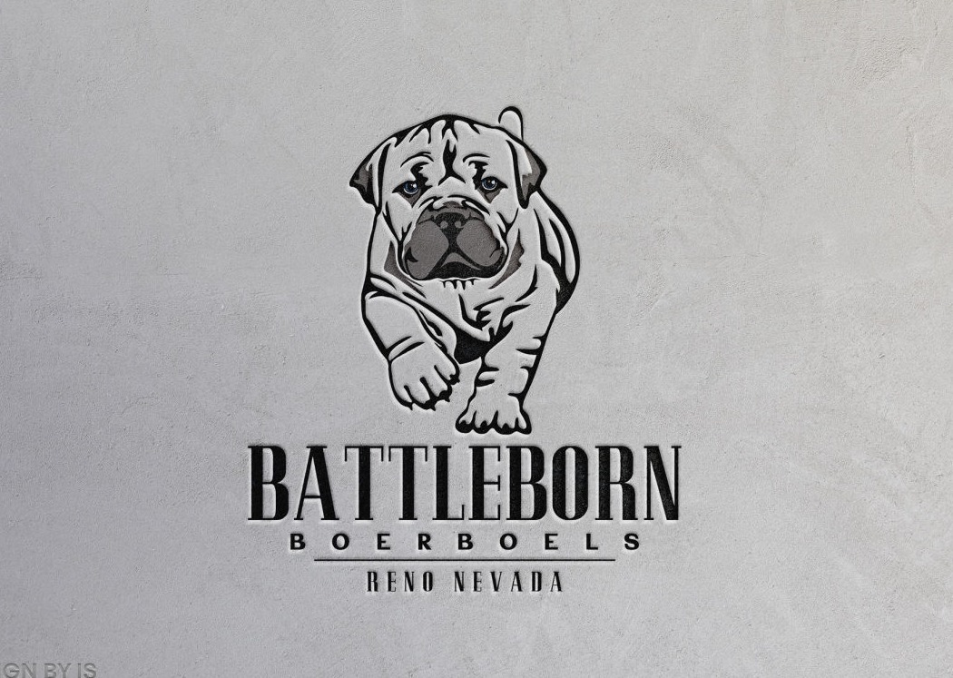 Boerboel