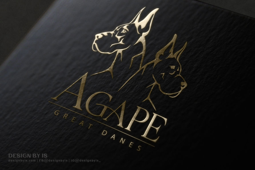 Great Dane