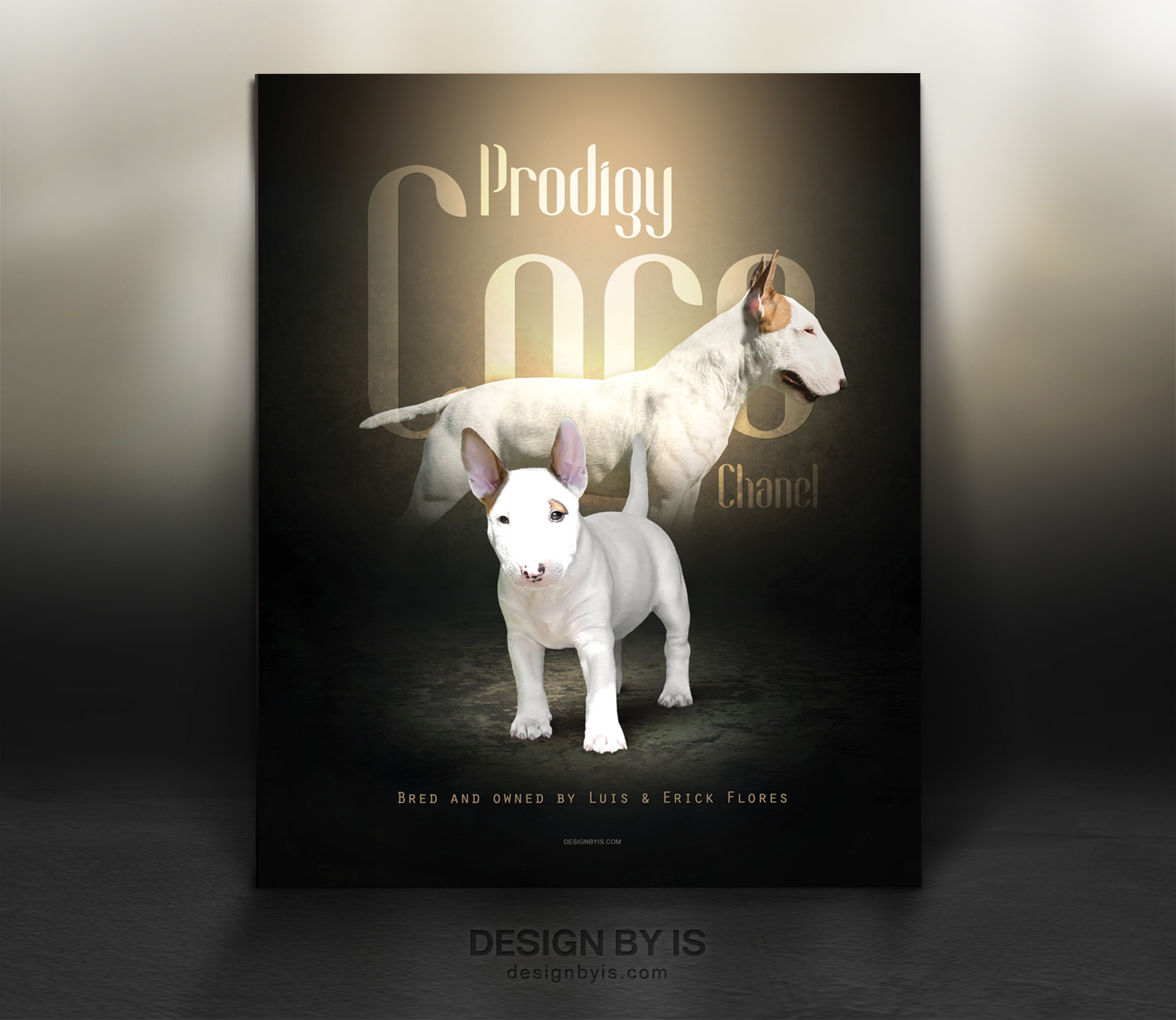  dog presentation proferrional design