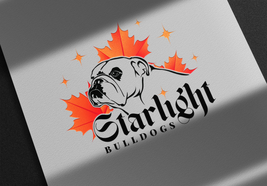 Bulldog vector drawing